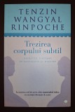 Trezirea Corpului Subtil - Tenzin Wangyal Rinpoche, Curtea Veche 2015, Carte Spiritualitate Ezoterism