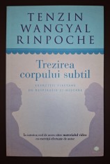 Tenzin Wangyal Rinpoche - Trezirea corpului subtil