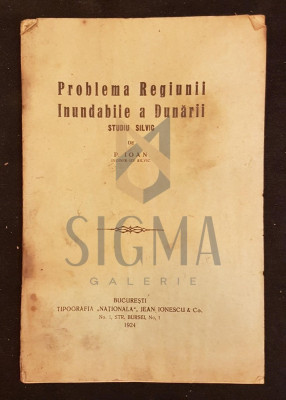 P. IOAN, PROBLEMA REGIUNII INUNDABILE A DUNARII (STUDIU SILVIC), BUCURESTI, 1924 foto