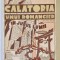 CALATORIA UNUI ROMANCIER de BLASCO IBANEZ , STATELE UNITE , CUBA , PANAMA , HAWAI , JAPONIA , EDITIE INTERBELICA