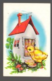 CPIB 20008 CARTE POSTALA - FELICITARE - CASUTA OU, PUI, FLORI, NECIRCULATA