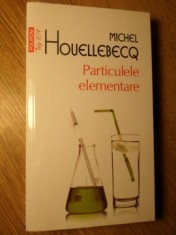 PARTICULELE ELEMENTARE-MICHEL HOUELLEBECQ-269188