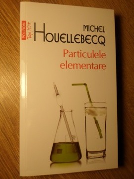 PARTICULELE ELEMENTARE-MICHEL HOUELLEBECQ-269188