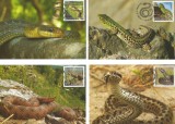 |Romania, LP 1887/2011, Reptile din Romania, maxime