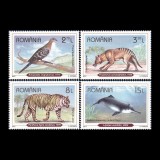 Specii dispărute recent 2017 LP 2143