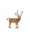 Figurina Cerb Pere David L Collecta