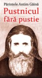 Pustnicul fara pustie - Ortodoxia