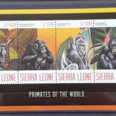 SIERRA LEONE - PRIMATE-MAIMUTE-COALA MICA NEOBLIT. - SL 05
