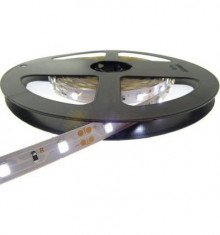 BANDA LED 60 x 3528 4.8W IP20 CW foto