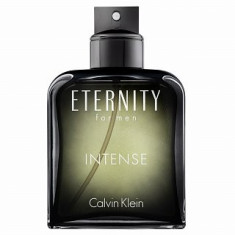 Calvin Klein Eternity Intense for Men Eau de Toilette pentru barba?i 200 ml foto