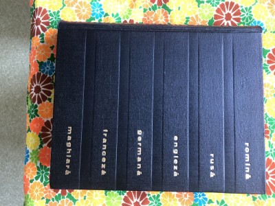 DICTIONAR TEHNIC POLIGLOT foto