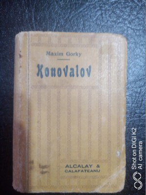 Konovalov-Maxim Gorky foto