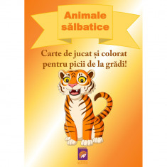 Animale salbatice. Carte de jucat si colorat pentru picii de la gradi!, Delia Tautan