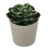 Ghiveci Decorativ, Plantă Artificială, 6x11cm, Taupe, Oem