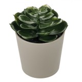 Ghiveci Decorativ, Plantă Artificială, 6x11cm, Taupe, Oem