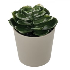 Ghiveci Decorativ, Plantă Artificială, 6x11cm, Taupe