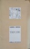 Trecere - Viorel Varga - Editura Eminescu, 1971 - Carte Poezie, Beletristica - Coperta Necartonata