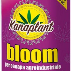 Ingrasamant Kanaplant Root Faza 3 Flortis 500g