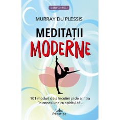 Meditatii Moderne - Murray Du Plessis