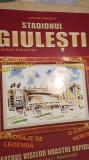 Cumpara ieftin Stadionul giulesti,Lucian ionescu