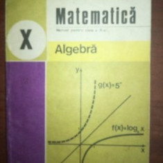 Matematica manual pentru clasa a X-a. Algebra- C. Nita, S. Popa