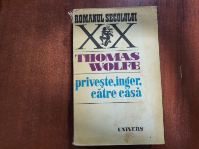 Priveste,inger,catre casa de Thomas Wolfe foto