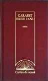 Garabet Ibraileanu - Adela