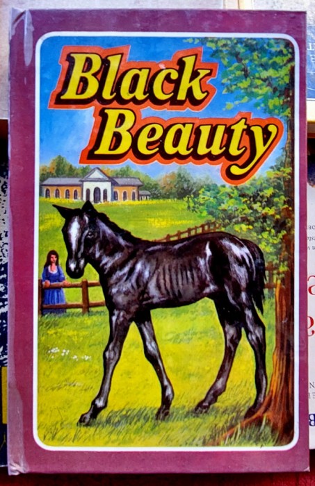 Black Beauty - Anna Sewell ( in engleza )