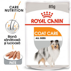 Royal Canin Mini Coat Care Adult hrană umedă câine, blană sănătoasă și lucioasă (pate), 12 x 85g