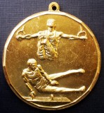 5.101 ROMANIA MEDALIE GIMNASTICA CAMPIONATELE INTERNATIONALE 50mm Locul I