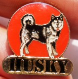 I.669 INSIGNA PIN CAINE HUSKY h20mm email, Europa