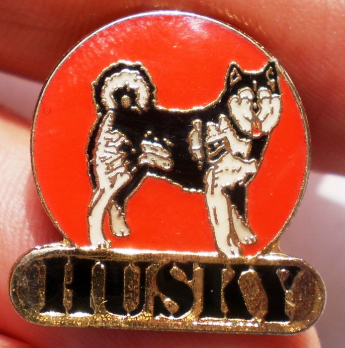 I.669 INSIGNA PIN CAINE HUSKY h20mm email