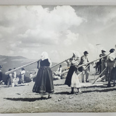 GRUP DE FEMEI CANTAND LA BUCIUM PE MUNTELE GAINA , FOTOGRAFIE INTERBELICA