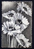P.373 DESEN CREION/CARBUNE BUCHET DE FLORI MARGARETE 1934