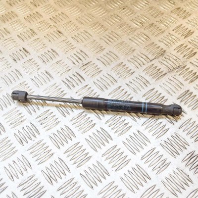 Amortizor capota st&amp;acirc;nga față BMW 3 Gran Turismo F34 2016 OEM: 7239233 10794904 foto
