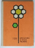 APICULTURA SI BAZA MELIFERA de V. PETRUS , I. OPRISAN , EDITIA A DOUA , 1965 * EDITIE CARTONATA