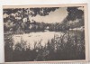 Bnk cp Sovata - Lacul Ursu - circulata 1958 - Libraria noastra, Printata