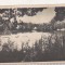 bnk cp Sovata - Lacul Ursu - circulata 1958 - Libraria noastra