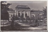 bnk cp Oradea - Piata 1 Mai - circulata