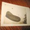 B14-Zepelin sau balon vechi 1920-Carte postala. Marimi: 14/ 9 cm.