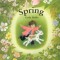 Spring Board Book