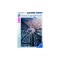 Puzzle Arc De Triumf Paris, 1000 Piese