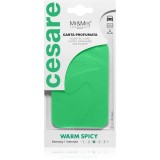 Mr &amp; Mrs Fragrance Cesare Warm Spicy etichetă parfumată pentru ușă 1 buc
