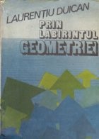 Prin labirintul geometriei foto