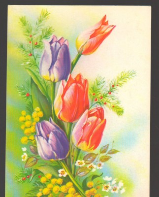 CPIB 19200 CARTE POSTALA - LALELE foto