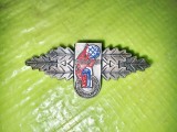 H464-I-Insigna veche tineri Pompieri Germania probabil interbelica alama argintata si emailata stare foarte buna. Marimi: 6,5/ 3 cm.
