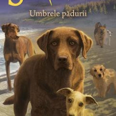 Supravietuitorii Vol.9: Umbrele padurii - Erin Hunter