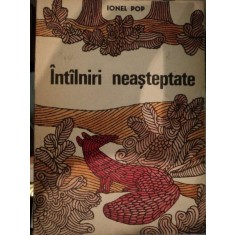 INTALNIRI NEASTEPTATE de IONEL POP , 1970