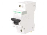 &Icirc;ntrerupător de Supracurent 80A 1P 10kA 230/400V