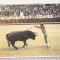 bnk cp Corrida de toros - Banderilleando - necirculata
